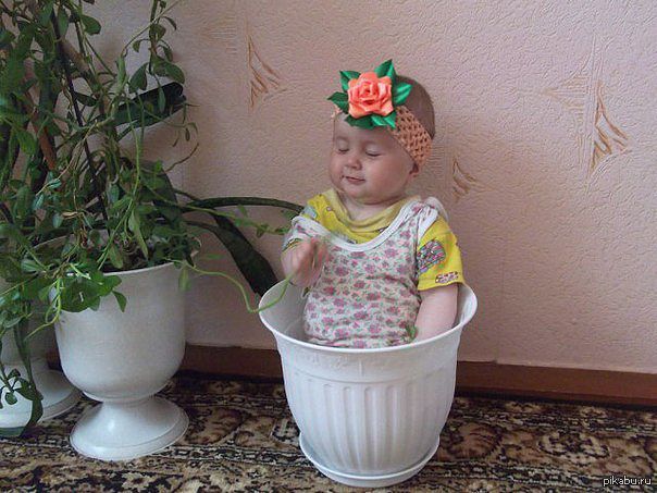 flower in a pot - Baby, Children, Girl, Mikhail Gorshenev, For, Flowers, Tag