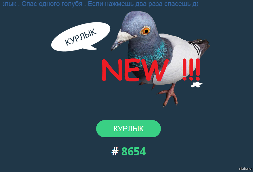 Узбикен курлык мурлык перевод на русский. Курлык. Голубь курлык. Курлык курлык. Курлык курлык курлык курлык курлык.