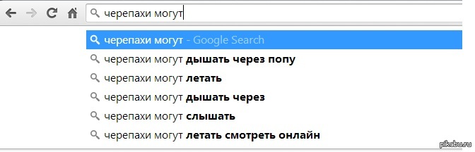 Что умеют черепахи | Пикабу