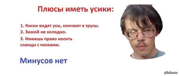 Родне нет минус. Усики прикол. Прикольные фразы про усы. Усатый прикол. Смешные шутки про усы.