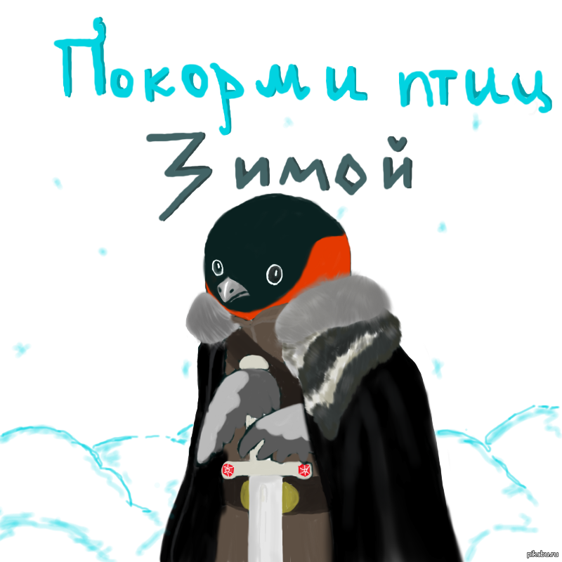 Покорми птиц | Пикабу
