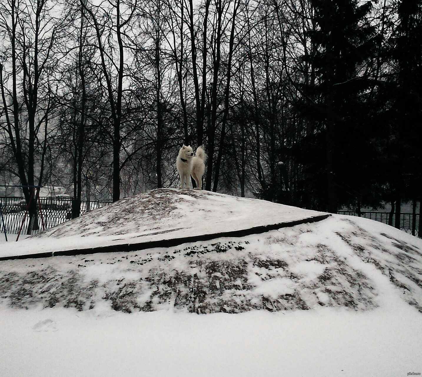 Наконец-то его погода | Пикабу