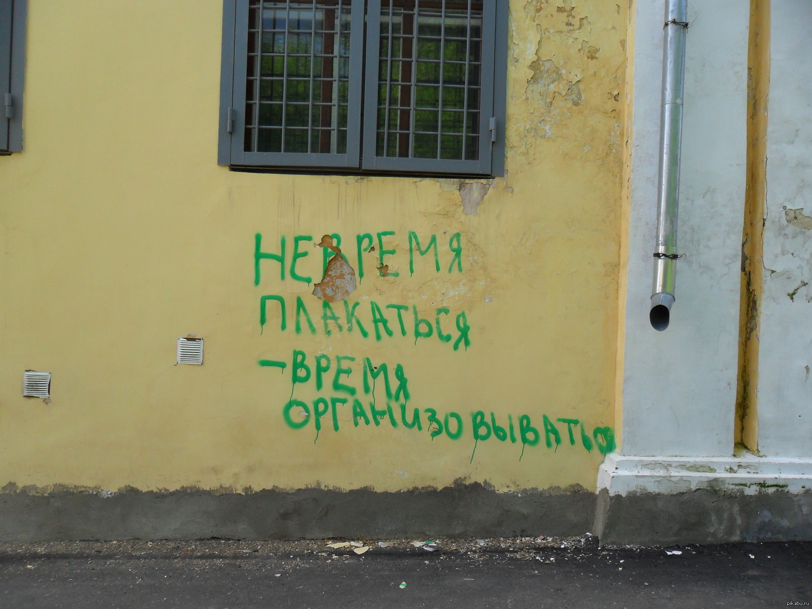 Каждому | Пикабу