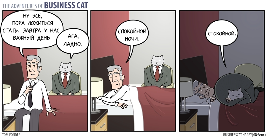 Business cat. - cat, Business cat, Tom Fonder, Happy jar, Comics