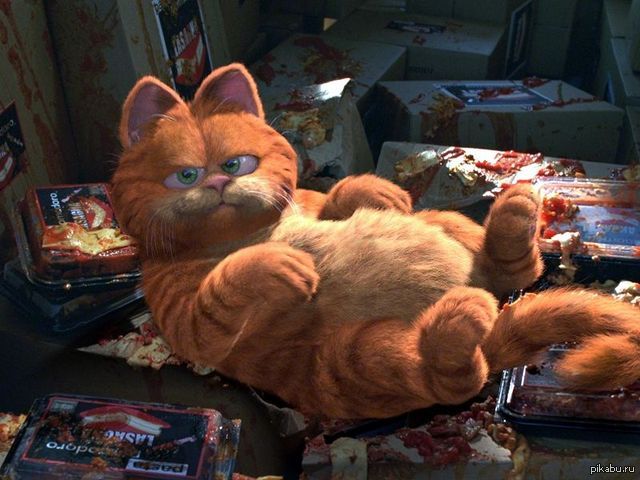 Кота гарфилда