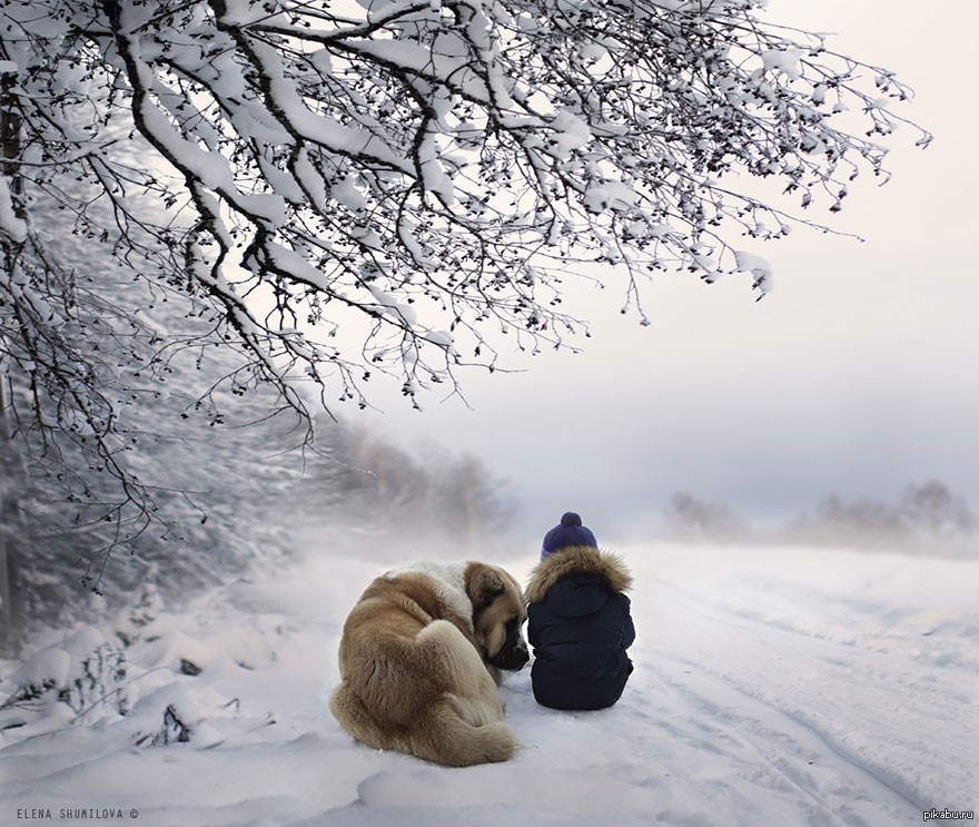 На душе зима. Елена Шумилова 2019. Елена Шумилова фотограф. Елена Шумилова фотограф алабай. Елена Шумилова фотограф в деревне.