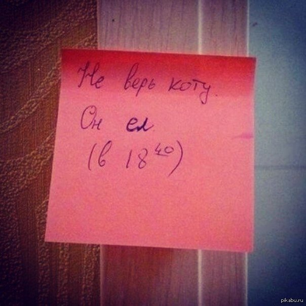 Коту Не Верь Он Ел