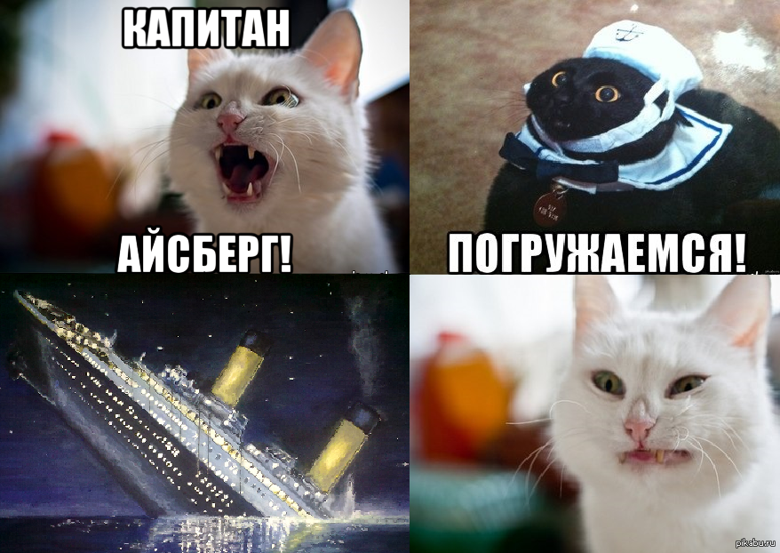 Titanic cat. Коты Титаник. Кошачий Титаник. Коты Титаник Мем. Капитан кот Мем.