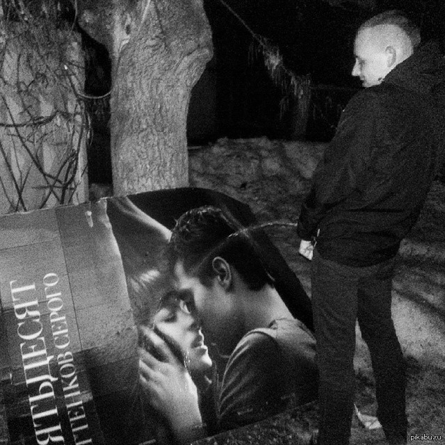 пятьдесят оттенков серого | Пикабу