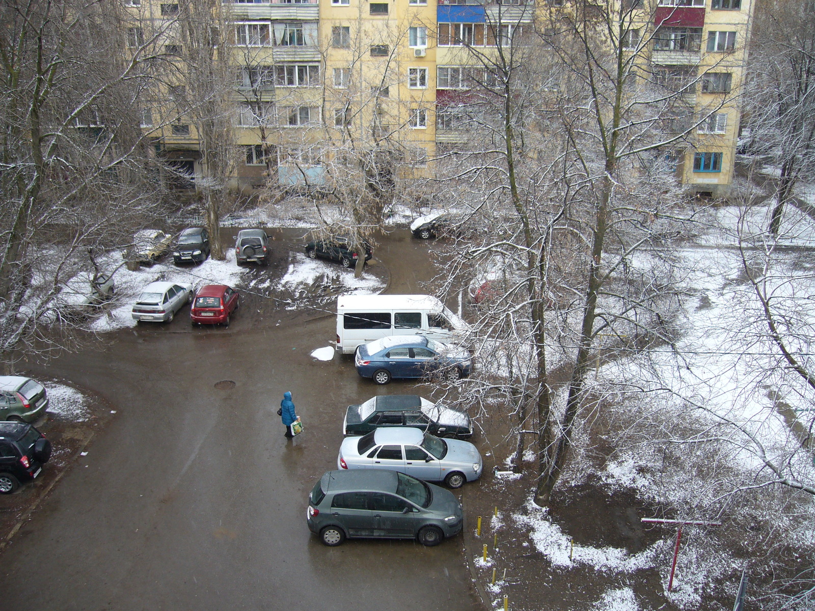 And in our yard - Snow, Animals, My, Russia, Spring