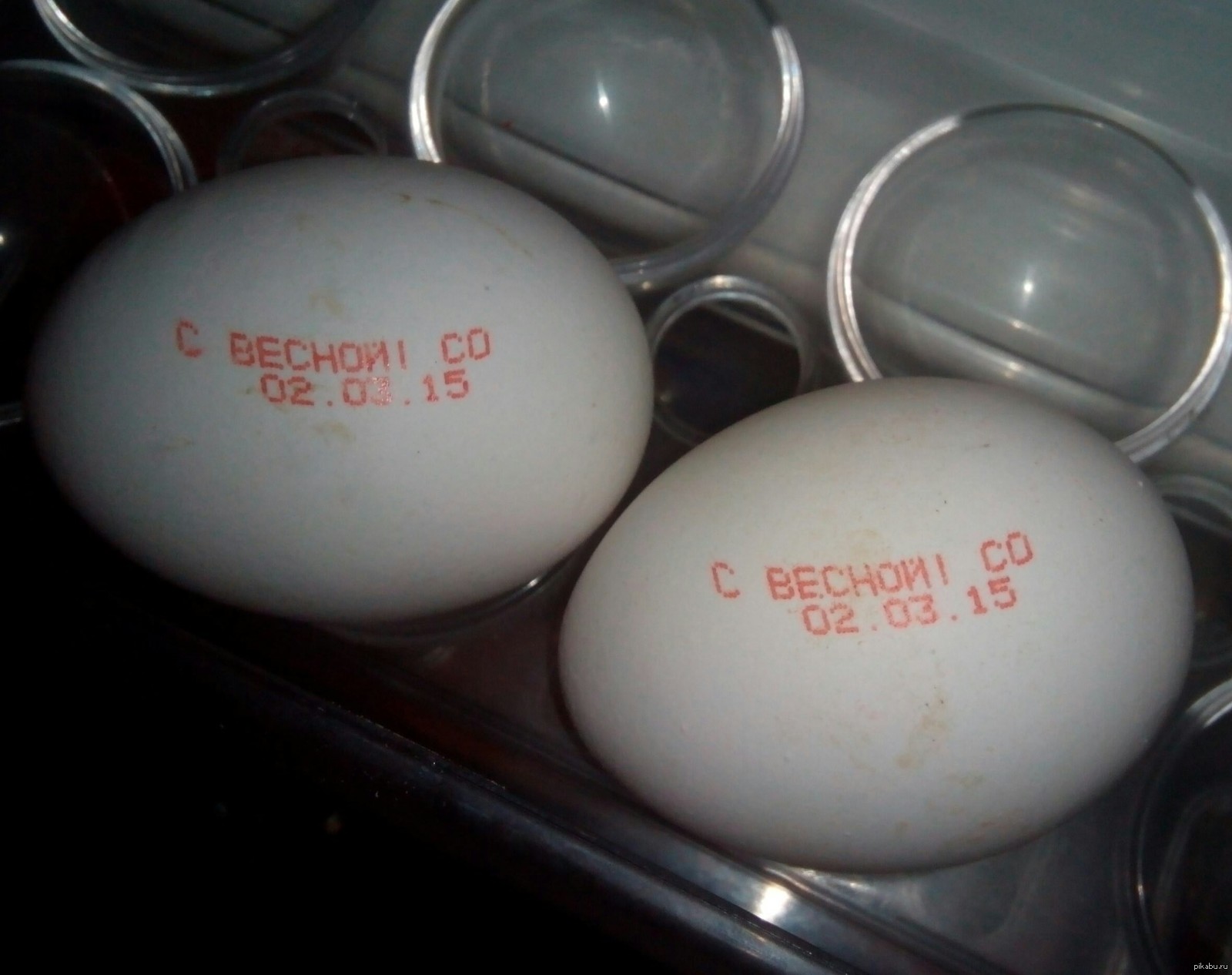 Скажи яичко. Яйцо надпись. Яйцо с надписью яйцо. Смешные надписи на яйцах. Табличка домашние яйца.