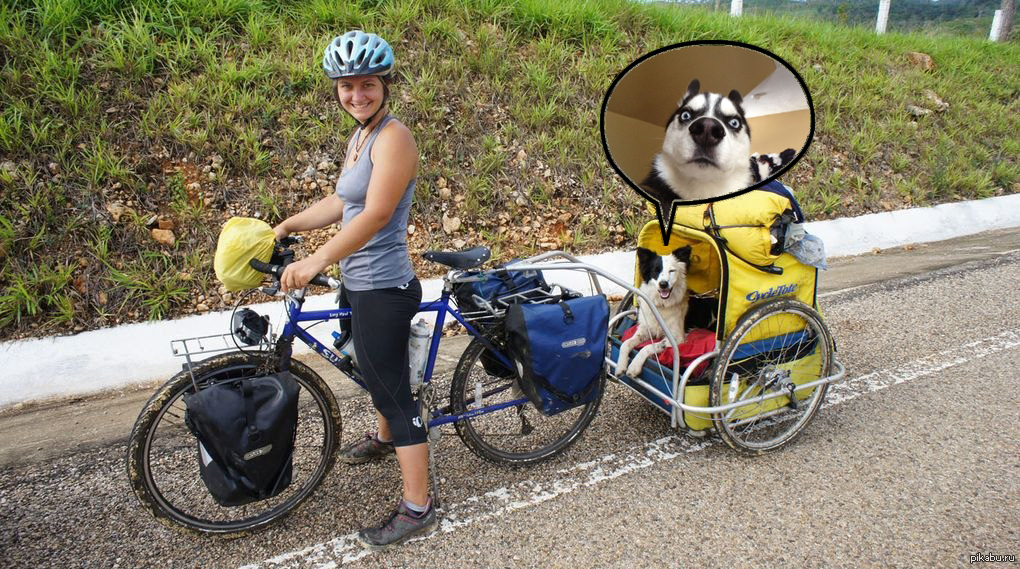 Иди к велосипеду. Giant fastroad e+ 2 pro (2021). Человек на велосипеде со спины. Велоприцеп schwinn. Иди к велосипеду.