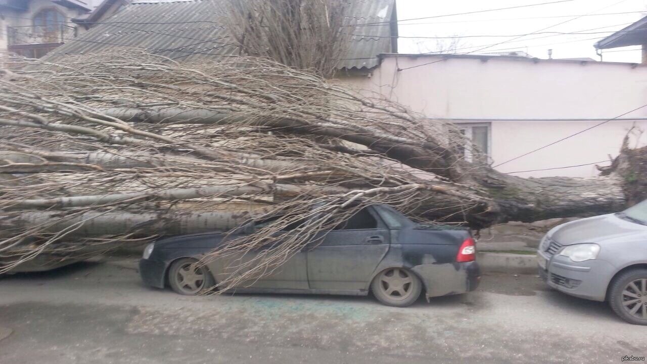 Не опущена, а занижена | Пикабу