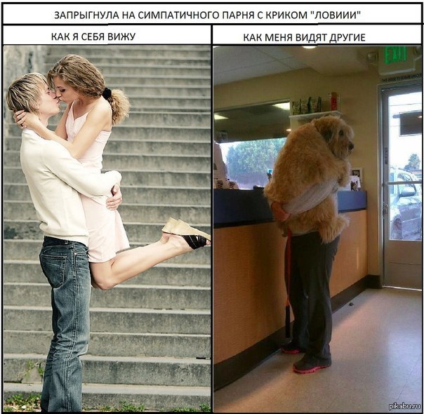 Как Живут Нормальные Люди