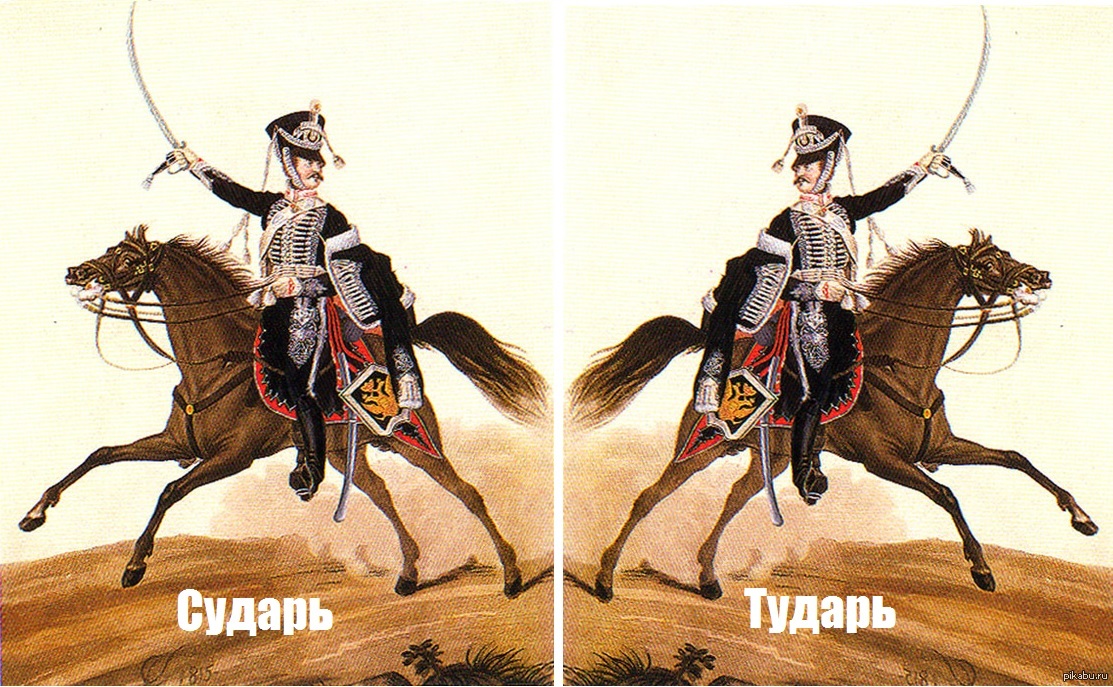 Судак Мем