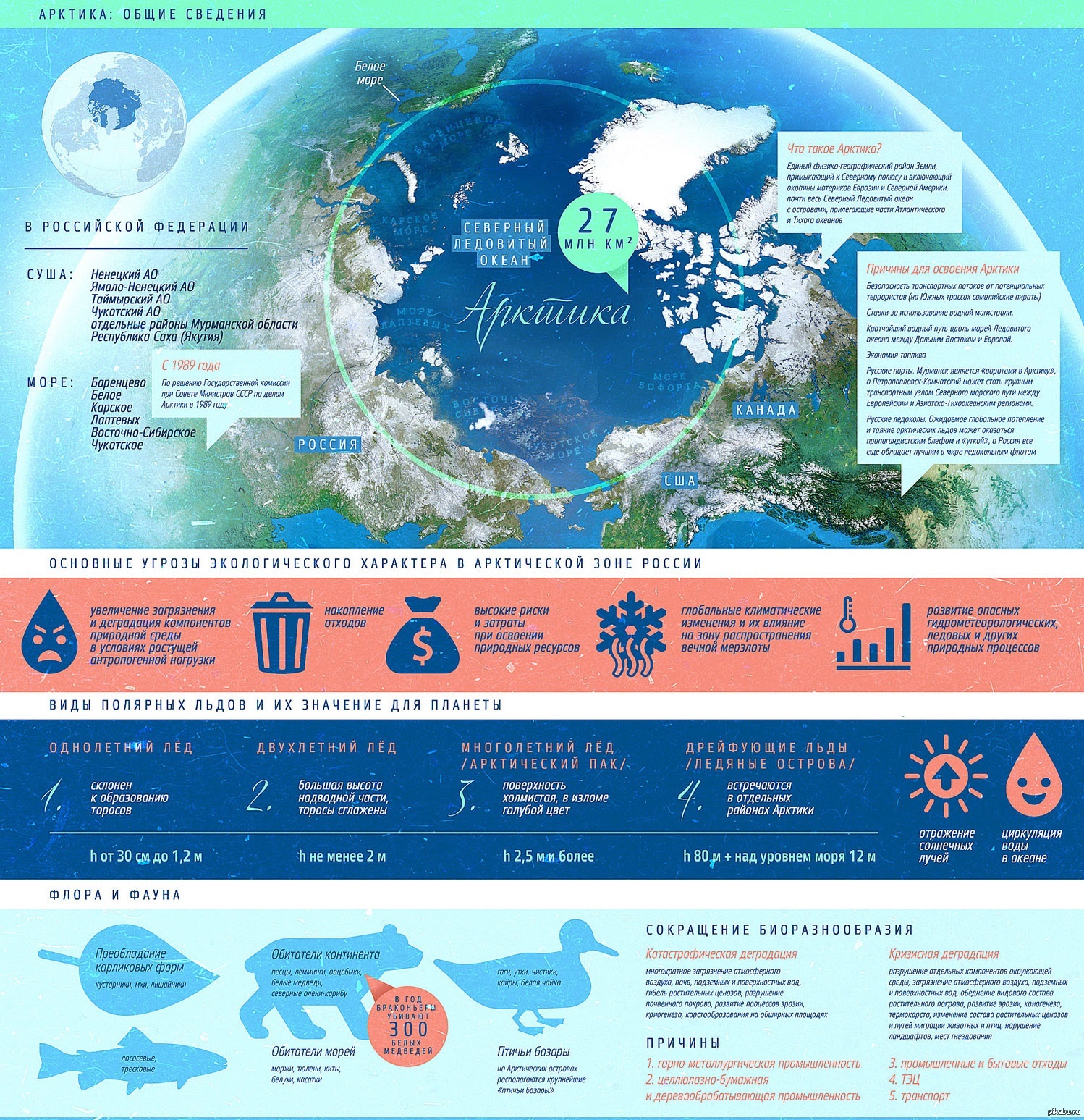 Арктика инфографика
