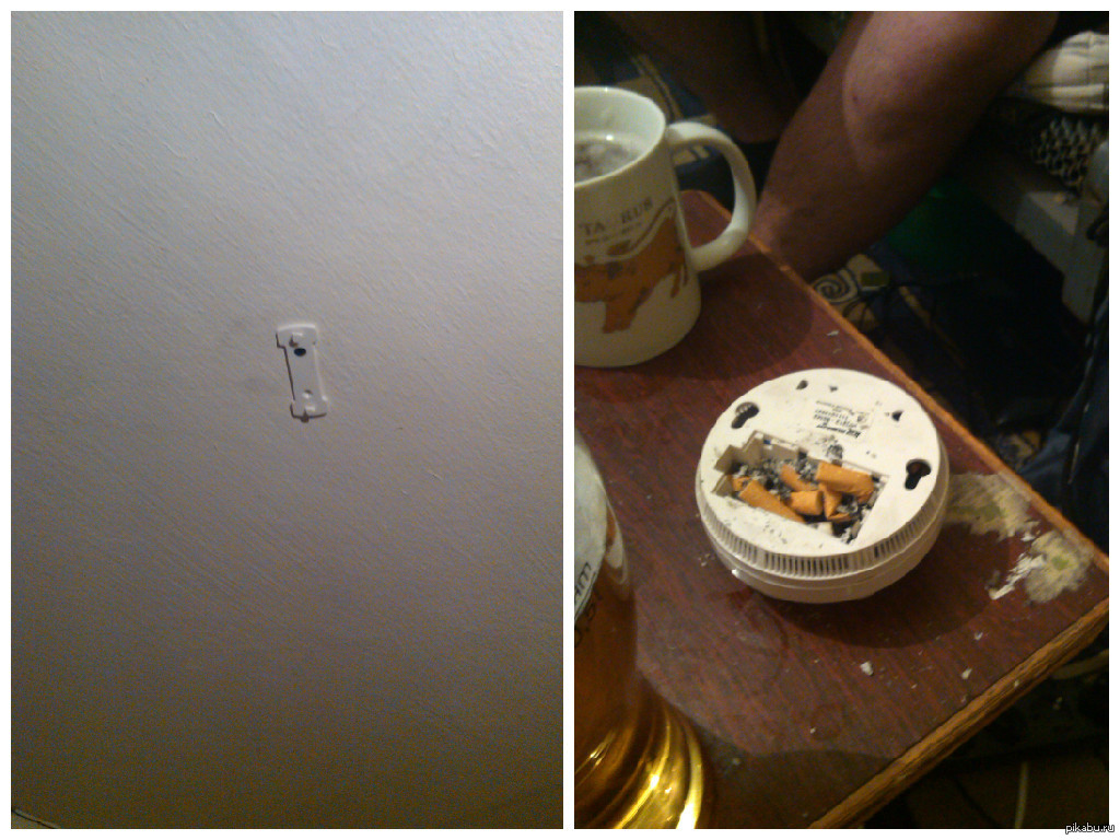 The alarm is broken - My, Ashtray, Fire alarm, Dormitory, Savvy