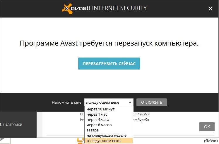 Avast understands its users - Avast, Antivirus, Update, Not now, Reincarnation