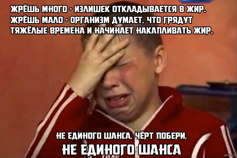 Почему много жрешь. Меньше жрать. Жрешь картинка. Только кот будет жрать вместе с тобой. Жрать и не толстеть картинки.