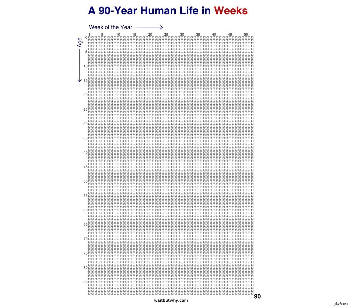 Календарь жизни. Календарь жизни в неделях. Жизнь человека в неделях. Недели жизни до 90 лет. 90 Лет жизни в неделях.