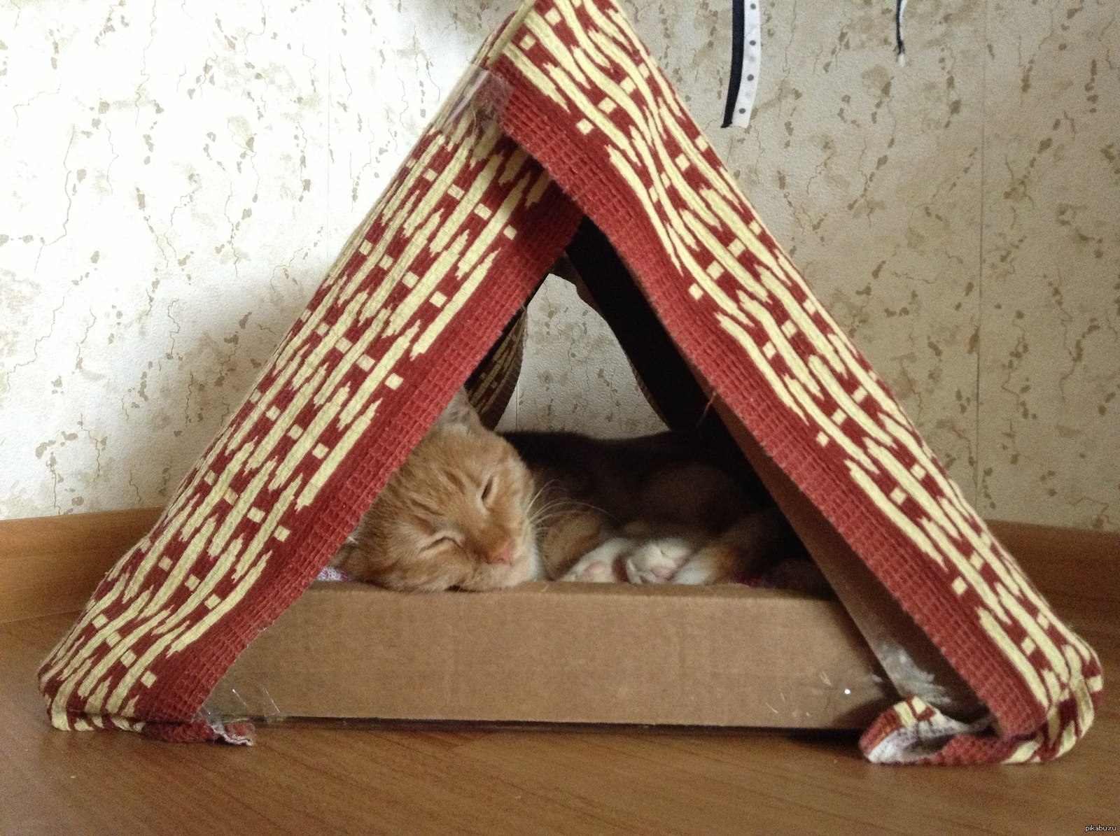 домик для кошки из вешалок