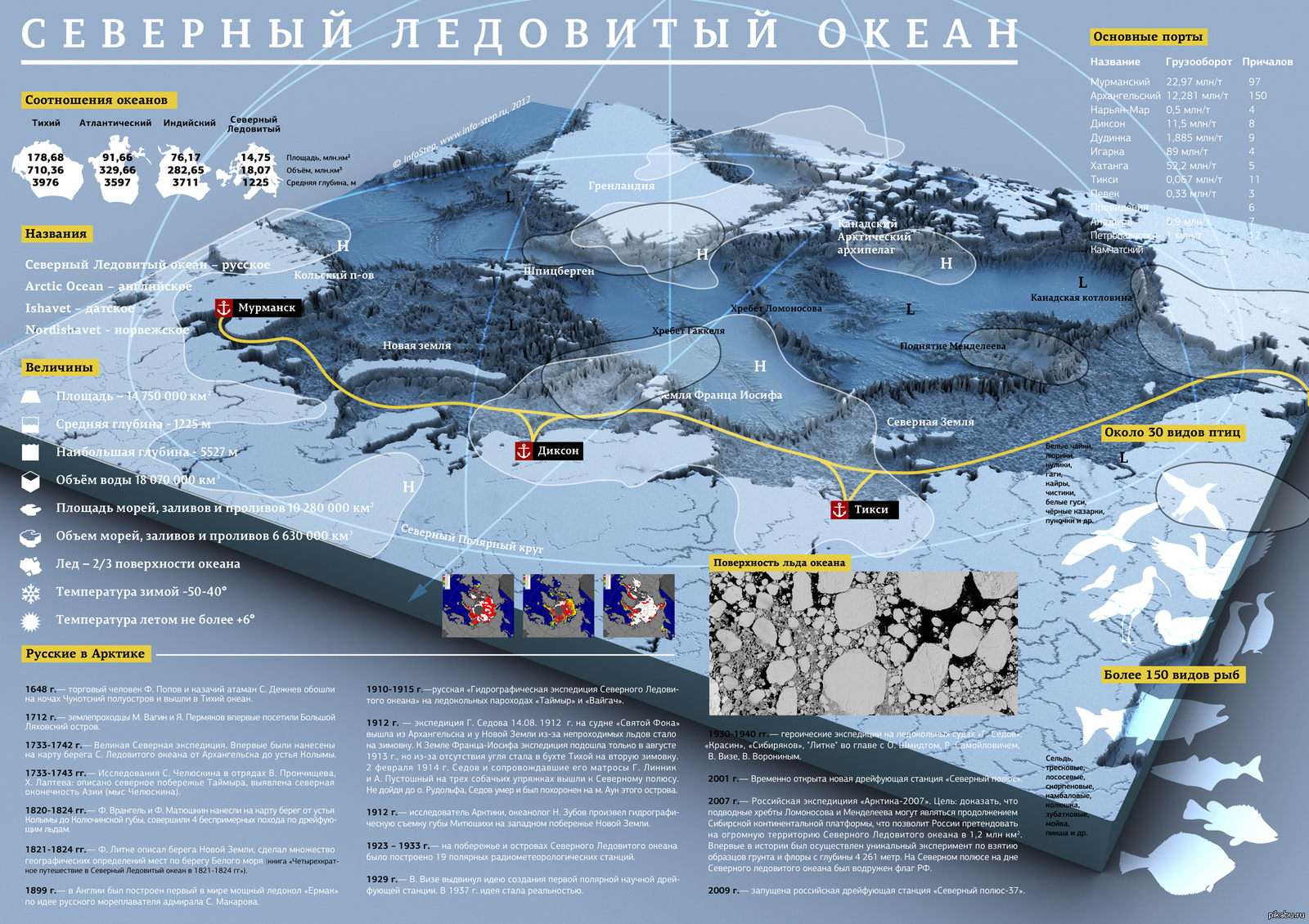 Максимальная глубина ледовитого. Северный Ледовитый океан инфографика. Инфографика Арктический шельф России. Арктический шельф в Арктике карта. Материковая отмель шельф Северного Ледовитого океана.