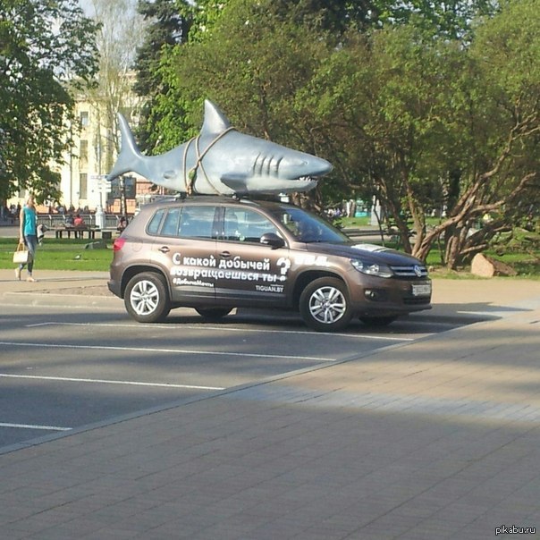 Getter! - Republic of Belarus, Minsk, Humor, Joke, Shark