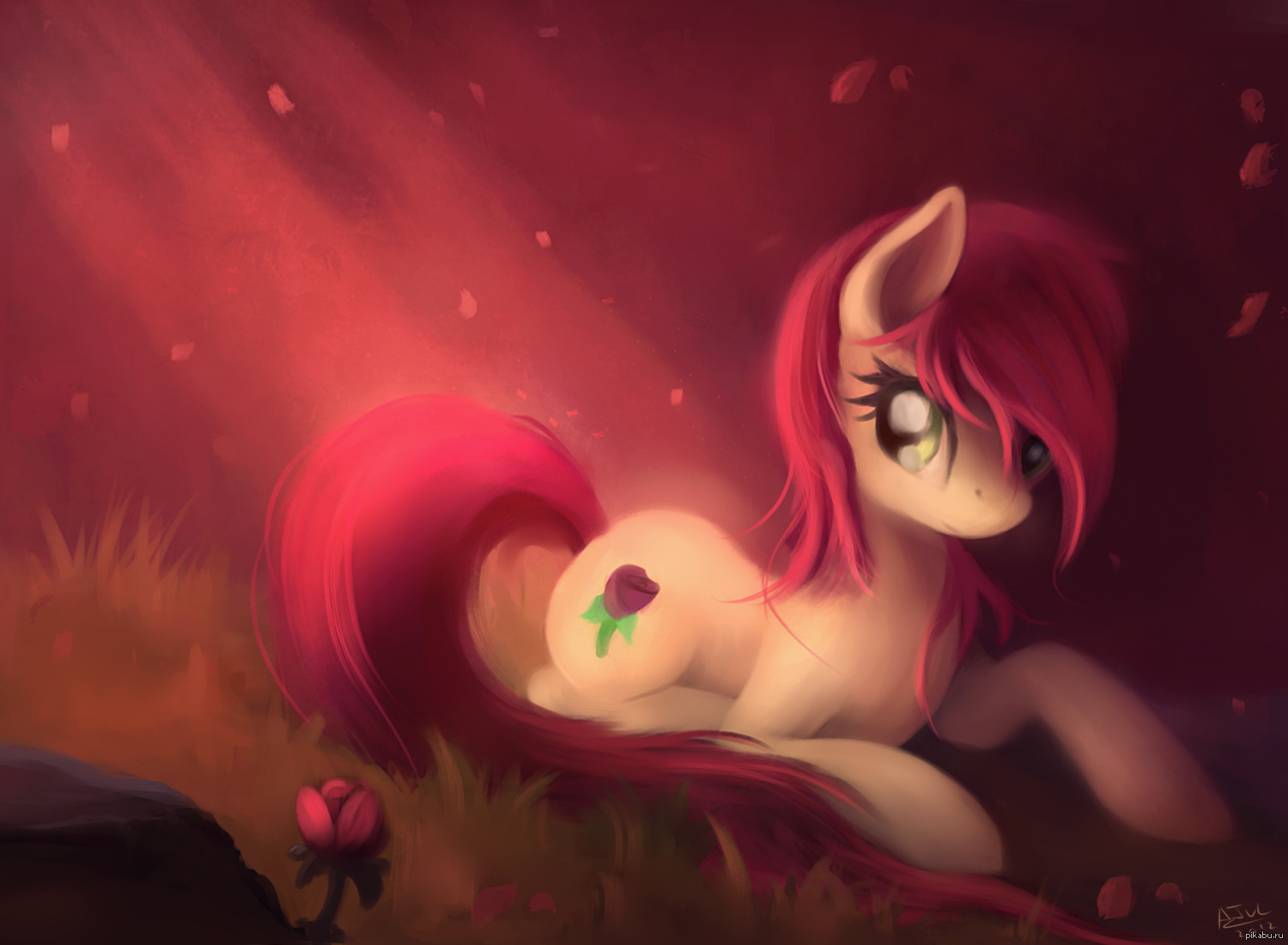 Annon-Mlp