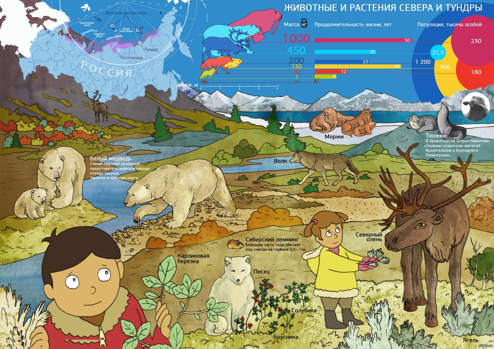 Игры природные зоны россии. Животные и растения севера. Рисунок природной зоны. Детские иллюстрации природные зоны. Животные и растения тундры и севера.