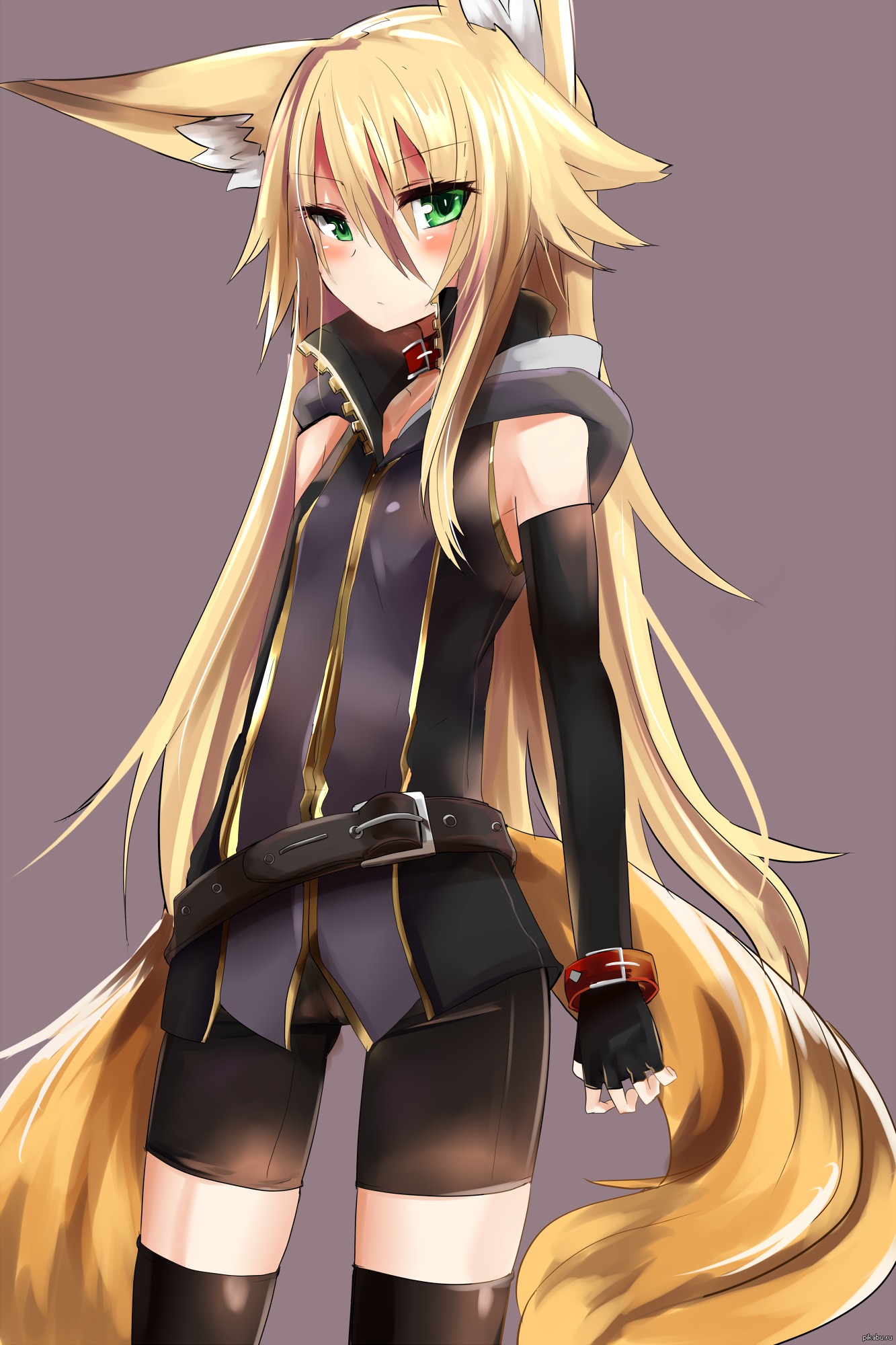 Animafox