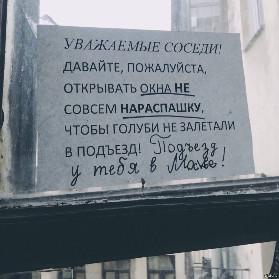 Откройте пожалуйста окно. Шутки про Питер. Смешные надписи. Анекдоты про Петербург. Смешные объявления в Питере.