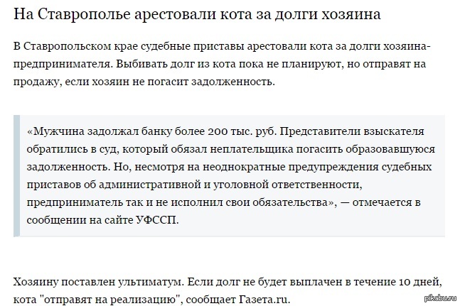 владелец долга. зюзин.