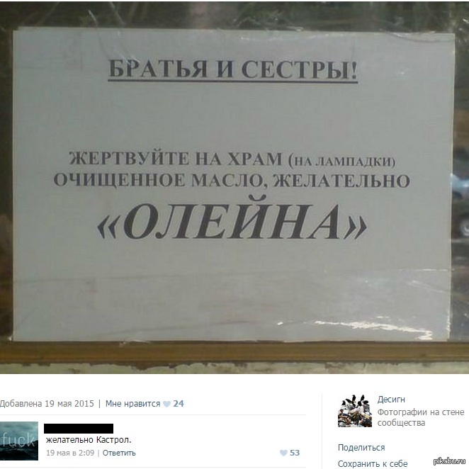 Олейна vs Кастрол | Пикабу