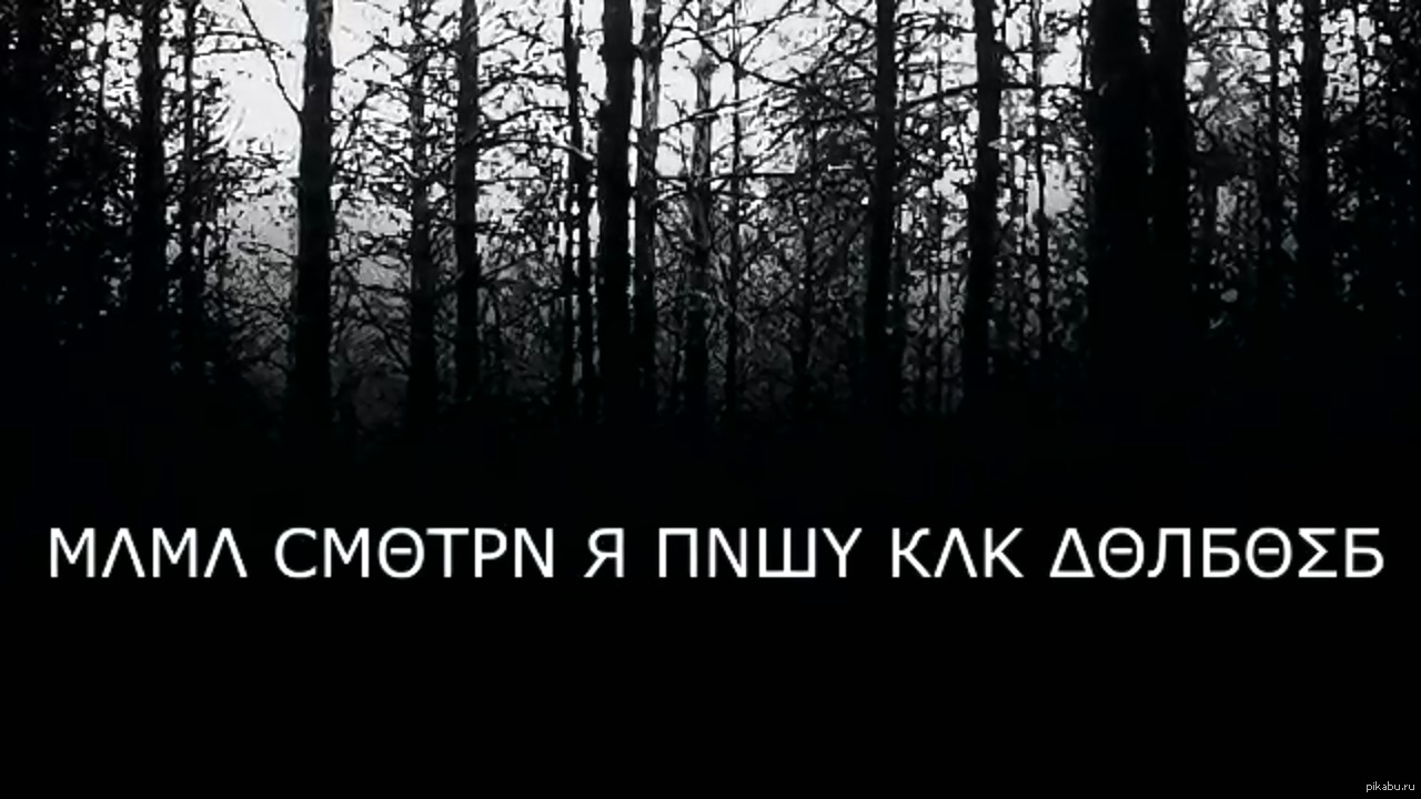 Суть темного леса. Витч Хаус лес. Витч Хаус Эстетика. Черный лес. Мрачный фон.