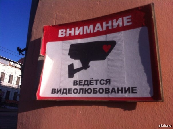 I see you:) | Пикабу