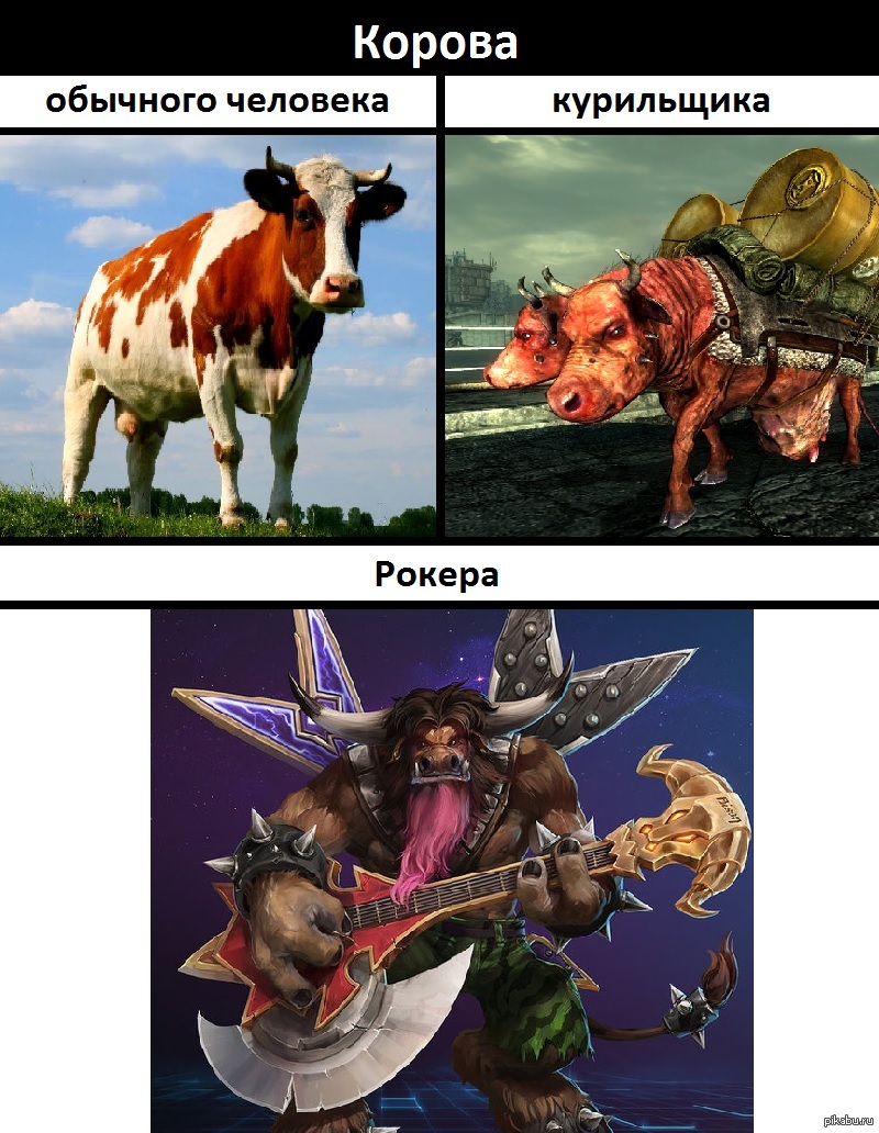 Hot memes. Хотс приколы. Хотс мемы. Мемы про hots. Корова рокер.