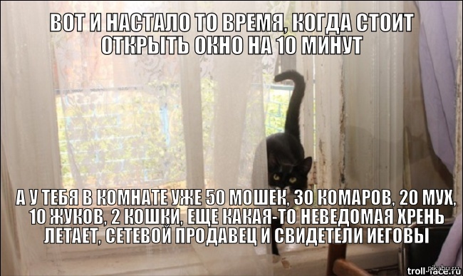 Сезон открытых окон | Пикабу