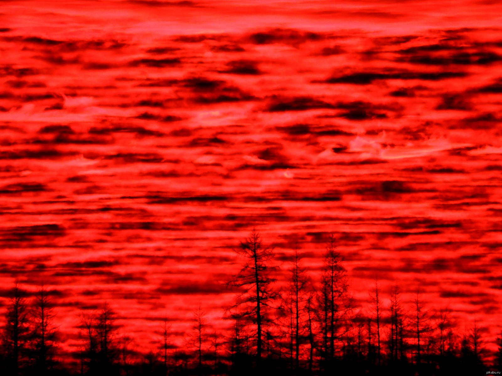 went with a friend to rafting on the rivers of the Yamalo-Nenets Autonomous Okrug and this is the shot we managed to catch on the horizon ... - My, Photokal on a paddle, River rafting, The photo, Sunset, Midnight, New Urengoy