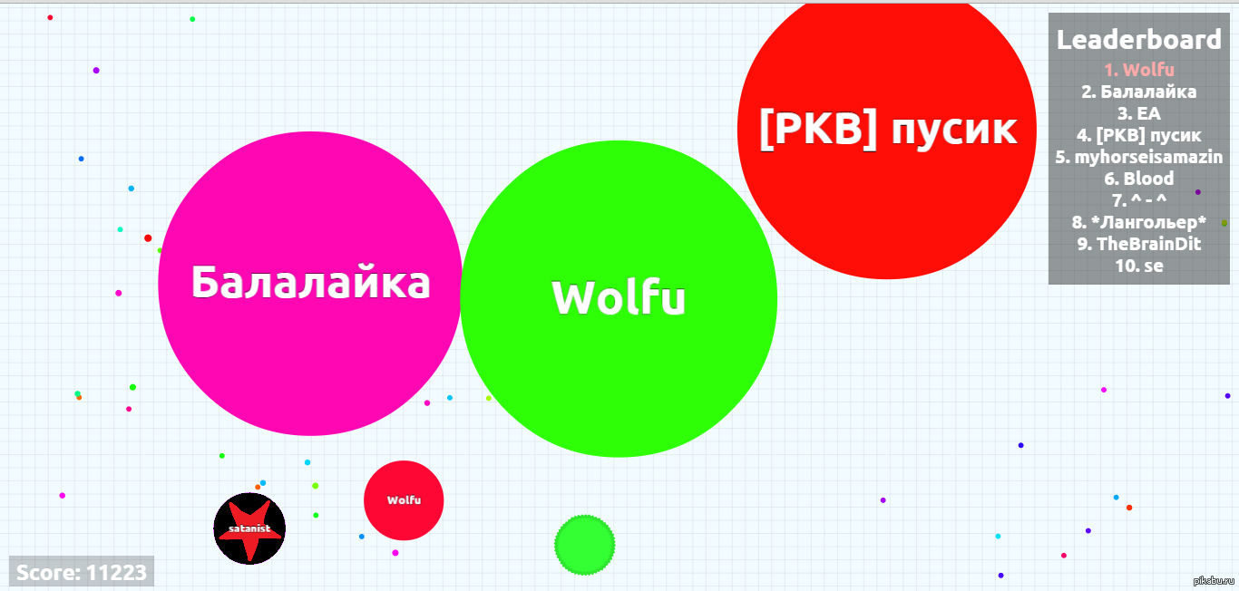 [PKB] pussy I'm looking for you! (wolf) - Pusik, Wolfu, Balalaika, Help, People search, Agario, Important, Relief league