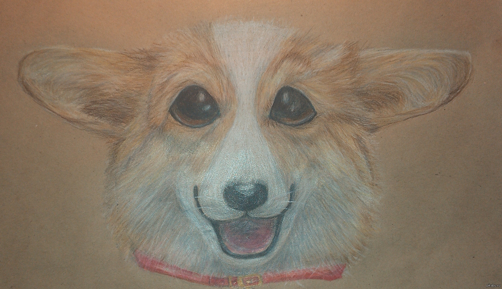 Картины собак карандашом