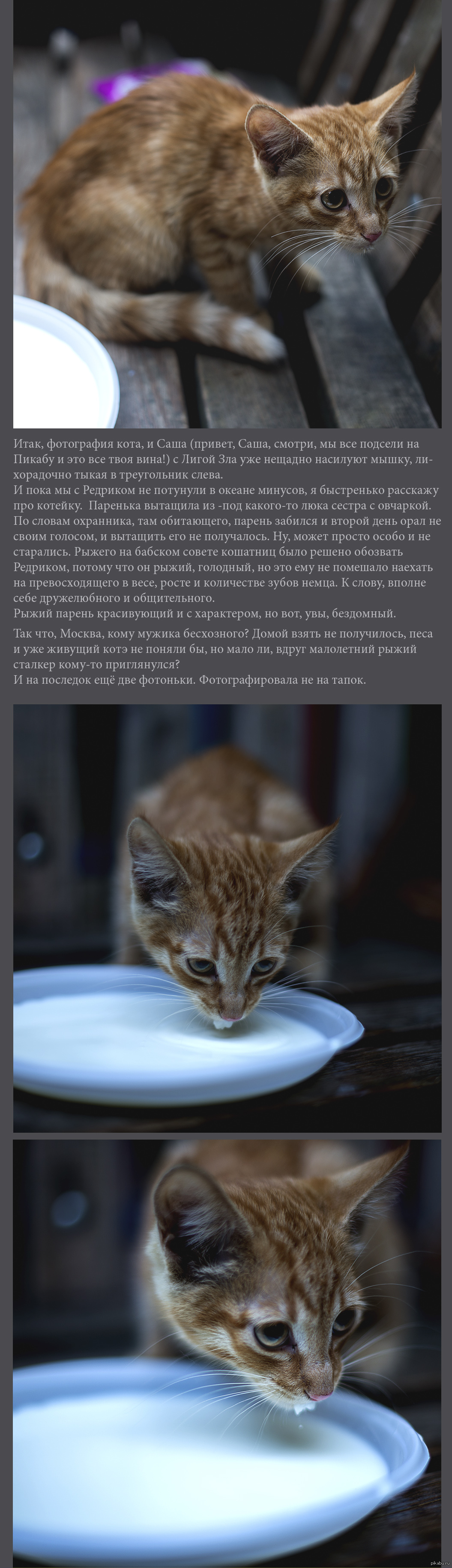 Редрик Рыжий | Пикабу