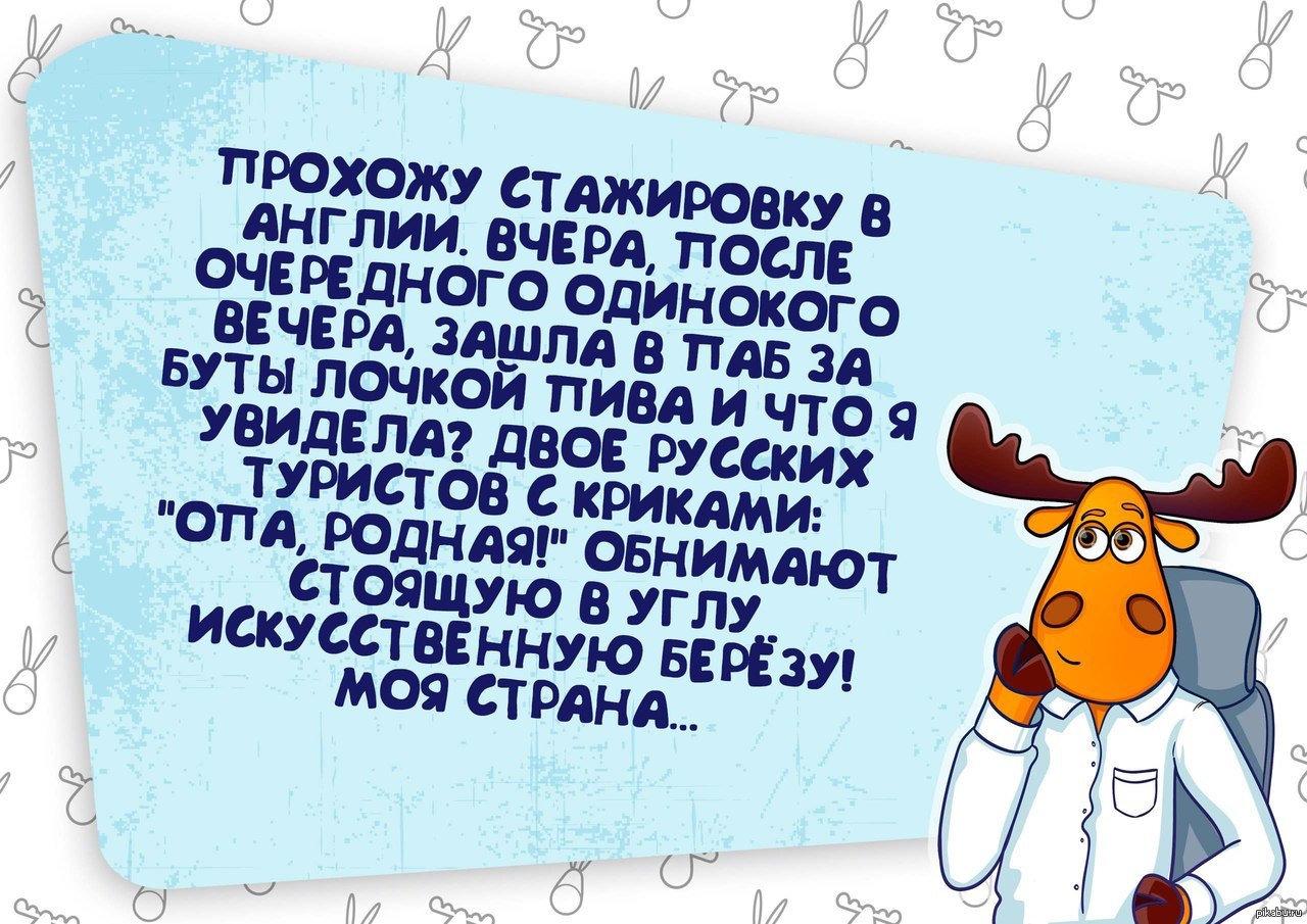 Березонька | Пикабу