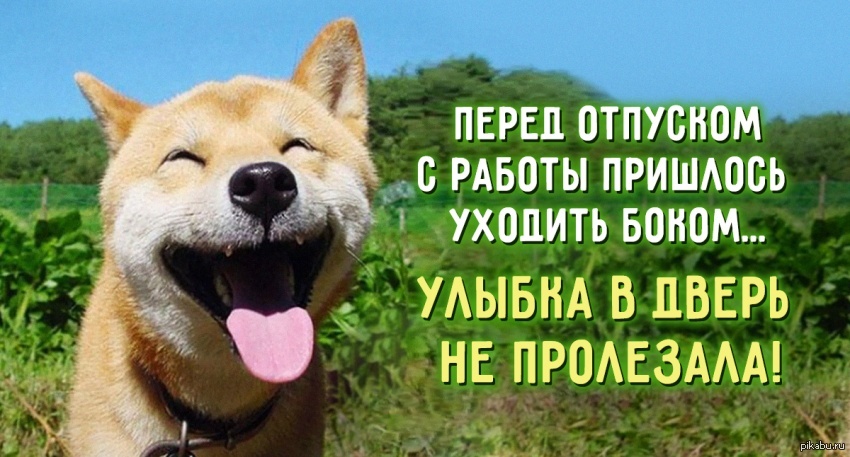 Галерея про отпуск картинка про отпуск картинка