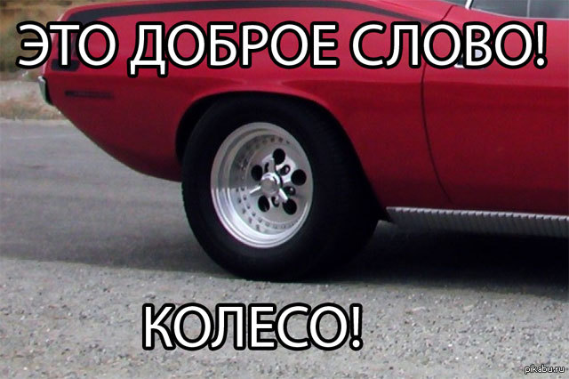 Колёсико! | Пикабу