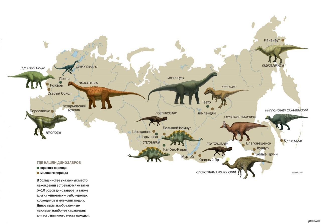 Какие динозавры обитали в далёкие времена на территории РФ? | Пикабу