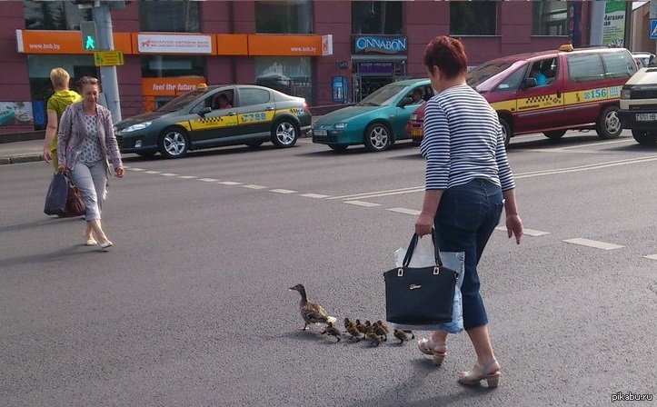 Это Минск, детка :) | Пикабу
