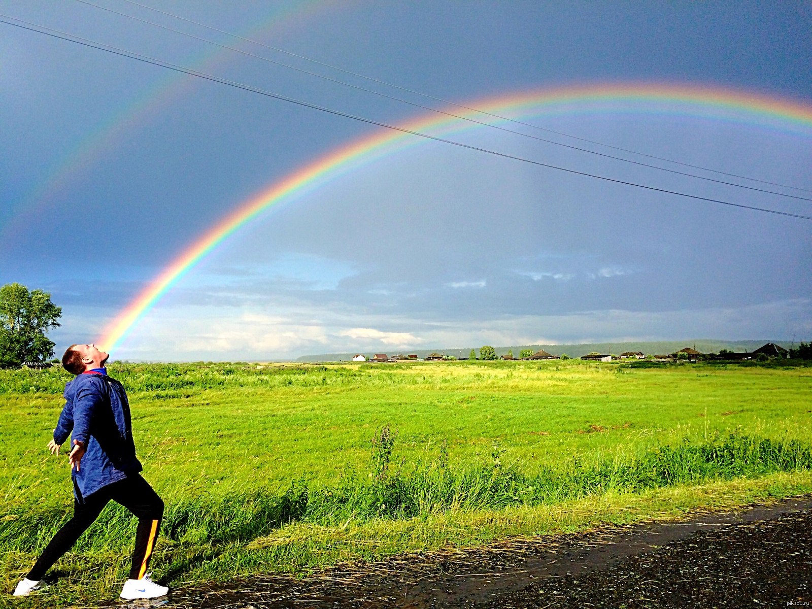 Фотографии всех радужных друзей