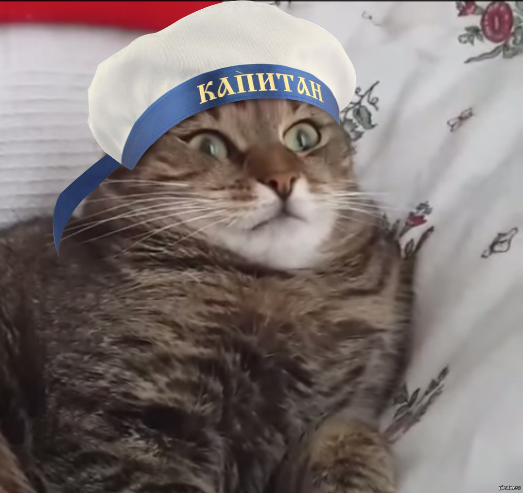 Никак нет