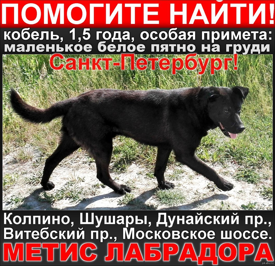 Какими цветами дети рисуют Какими цветами дети рисуют