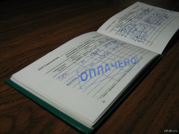 ну вот и пора дипломов | Пикабу